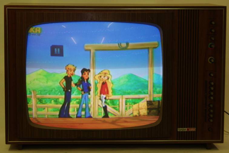 Schauinsland T2000 Bild a.JPG